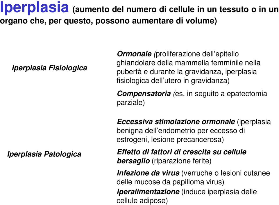 in seguito a epatectomia parziale) Eccessiva stimolazione ormonale (iperplasia benigna dell endometrio endometrio per eccesso di estrogeni, lesione precancerosa) Effetto di fattori