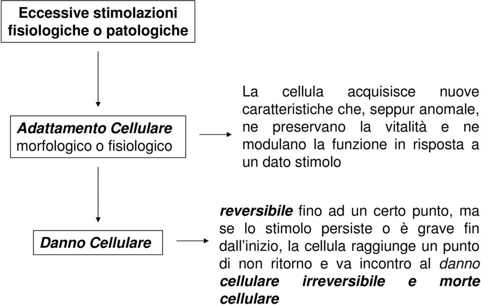 risposta a un dato stimolo Danno Cellulare reversibile fino ad un certo punto, ma se lo stimolo persiste o è grave