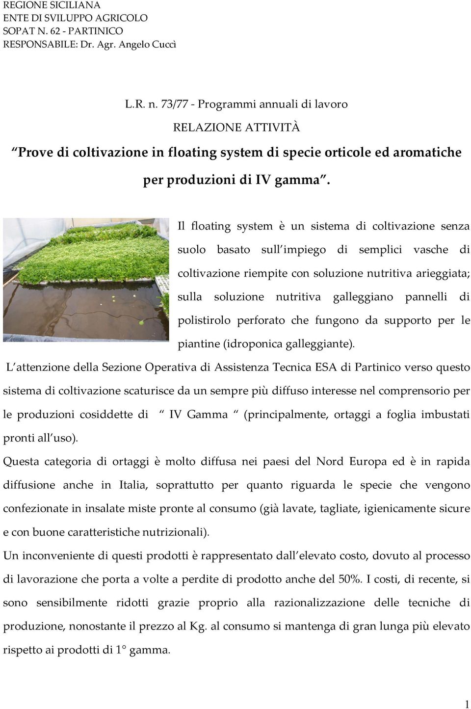 Il floating system è un sistema di coltivazione senza suolo basato sull impiego di semplici vasche di coltivazione riempite con soluzione nutritiva arieggiata; sulla soluzione nutritiva galleggiano