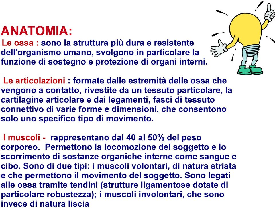 forme e dimensioni, che consentono solo uno specifico tipo di movimento. I muscoli - rappresentano dal 40 al 50% del peso corporeo.