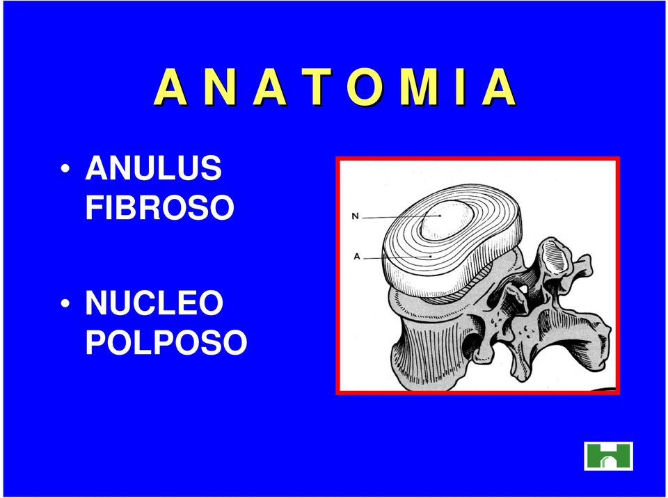 FIBROSO