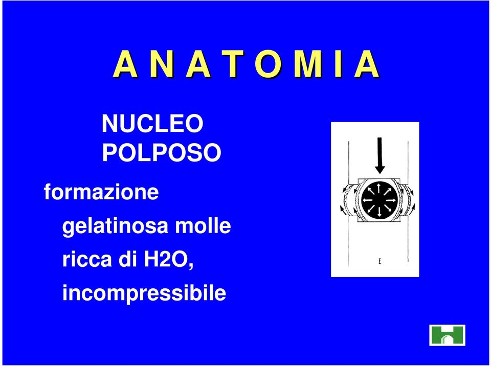 formazione gelatinosa