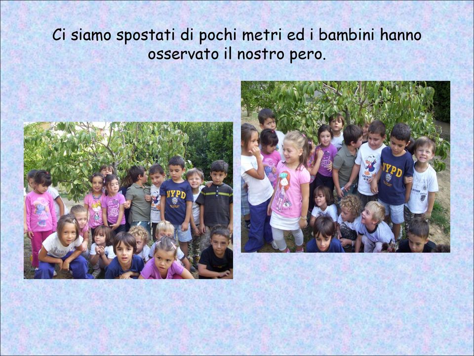 bambini hanno