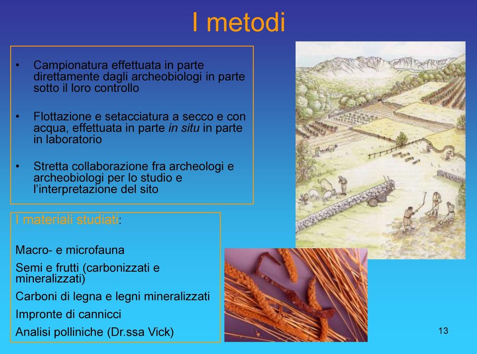 archeologi e archeobiologi per lo studio e l interpretazione del sito I materiali studiati: Macro- e microfauna Semi e