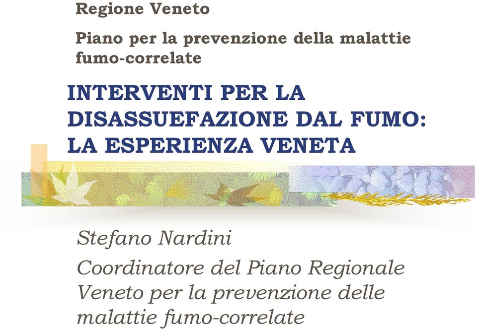 ESPERIENZA VENETA Stefano Nardini Coordinatore del Piano