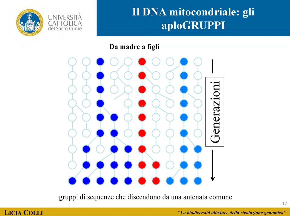 Generazioni gruppi di sequenze