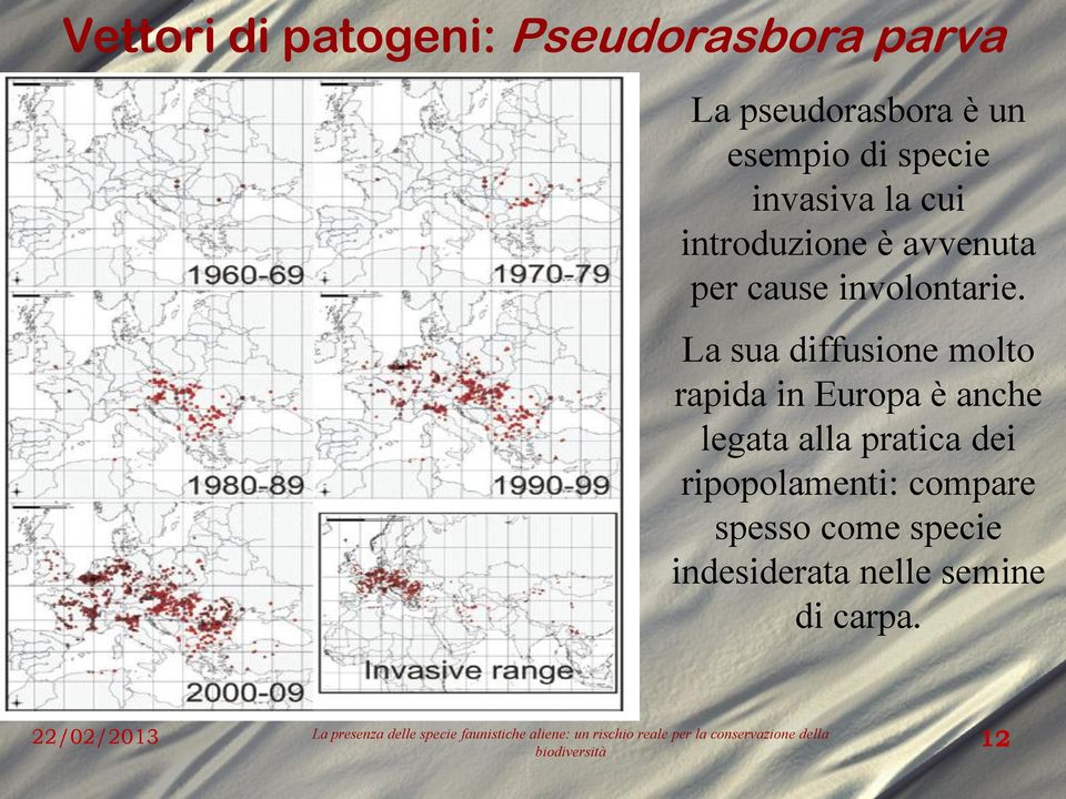 La sua diffusione molto rapida in Europa è anche legata alla pratica dei