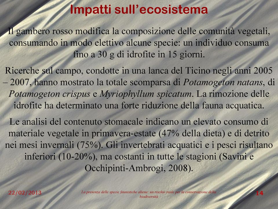 La rimozione delle idrofite ha determinato una forte riduzione della fauna acquatica.