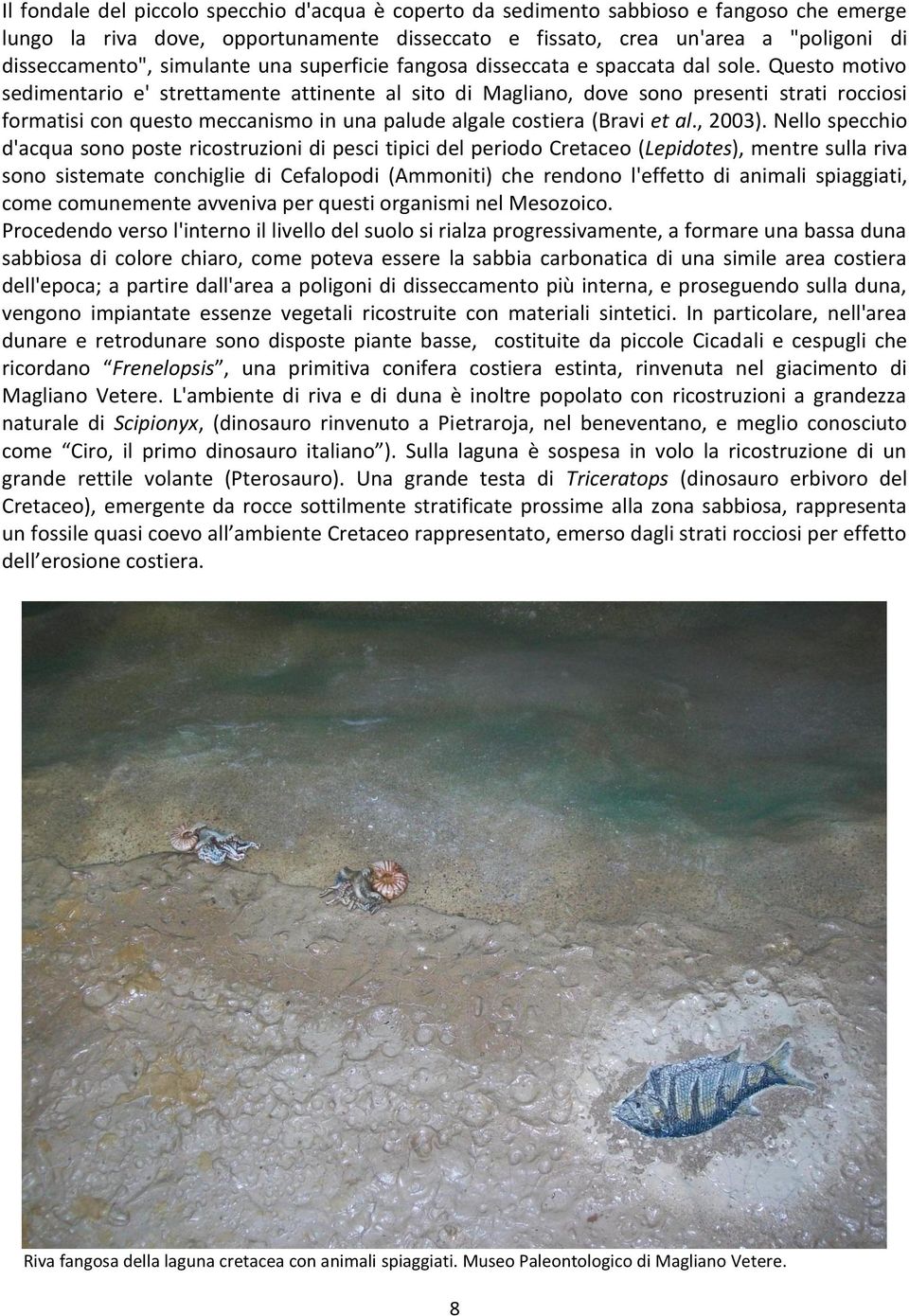 Questo motivo sedimentario e' strettamente attinente al sito di Magliano, dove sono presenti strati rocciosi formatisi con questo meccanismo in una palude algale costiera (Bravi et al., 2003).