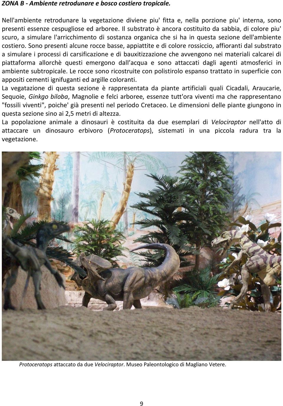 Sono presenti alcune rocce basse, appiattite e di colore rossiccio, affioranti dal substrato a simulare i processi di carsificazione e di bauxitizzazione che avvengono nei materiali calcarei di