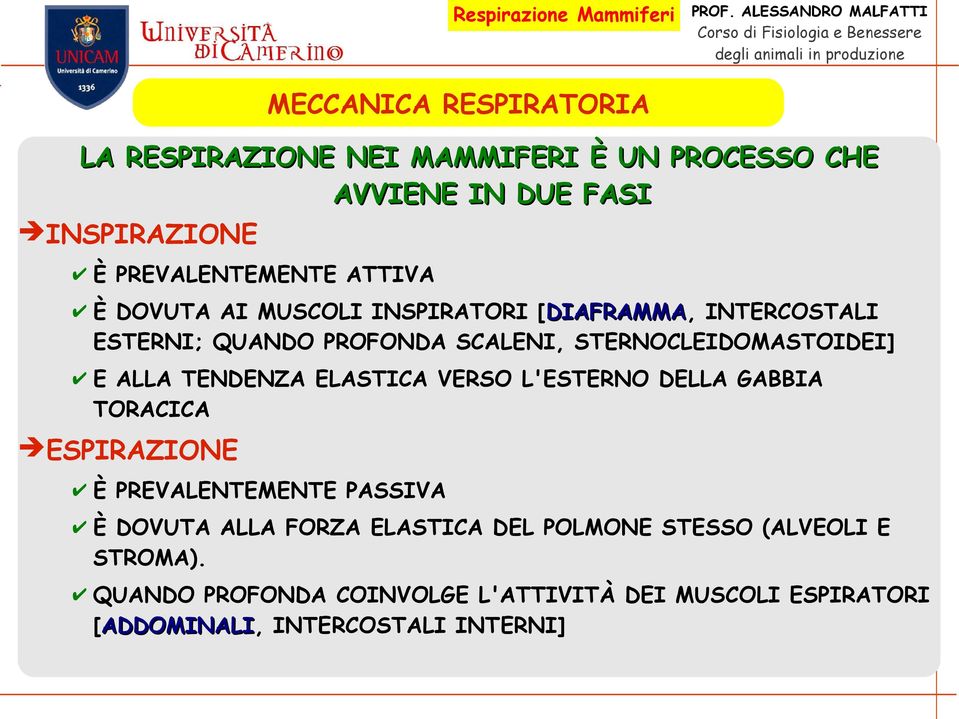 ALLA TENDENZA ELASTICA VERSO L'ESTERNO DELLA GABBIA TORACICA ESPIRAZIONE È PREVALENTEMENTE PASSIVA È DOVUTA ALLA FORZA