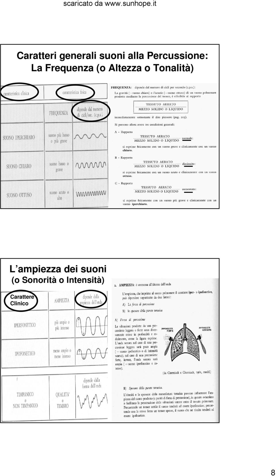 Altezza o Tonalità) L ampiezza dei