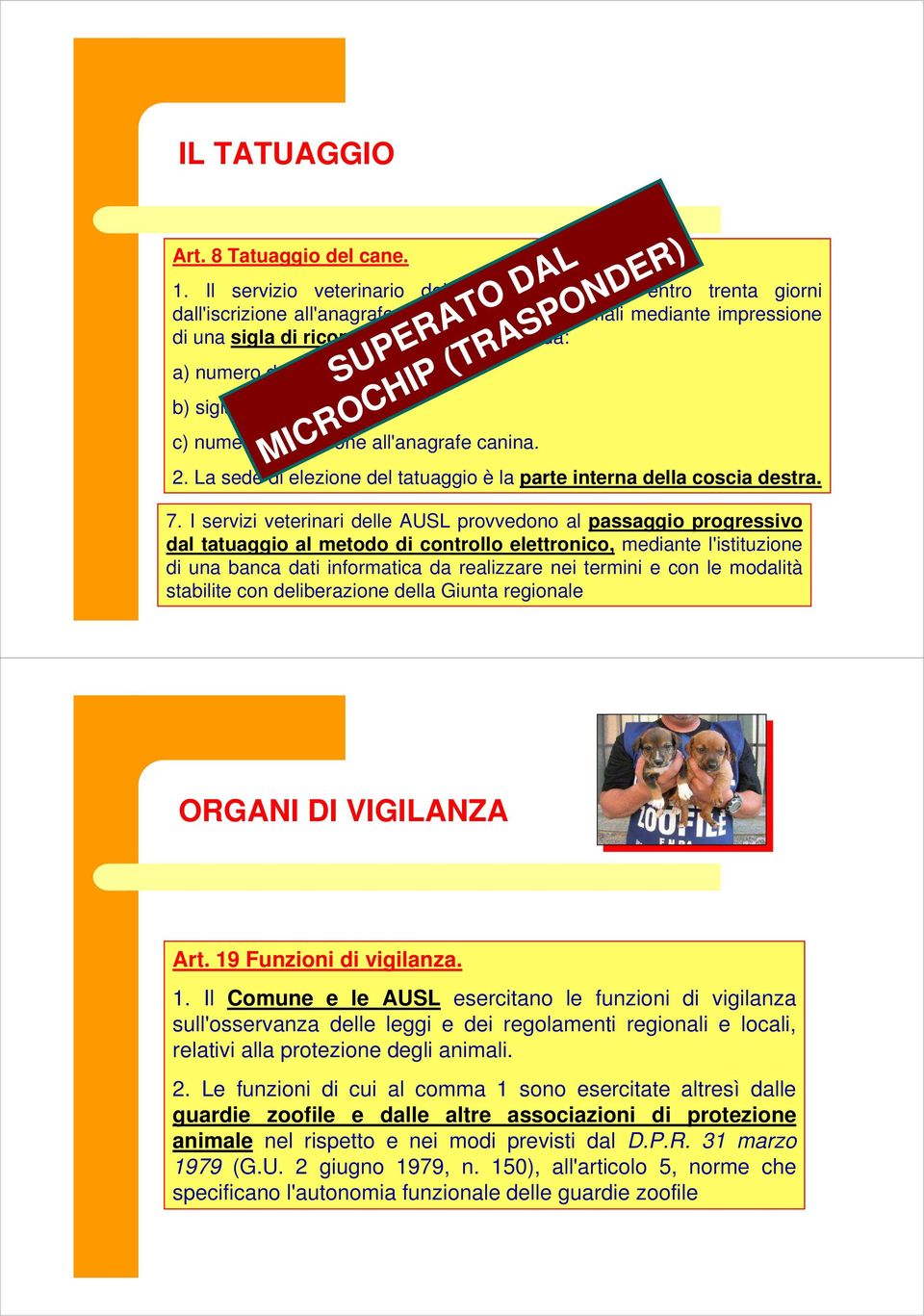 dell'ausl; b) sigla della provincia; SUPERATO DAL MICROCHIP (TRASPONDER) c) numero di iscrizione all'anagrafe canina. 2. La sede di elezione del tatuaggio è la parte interna della coscia destra. 7.