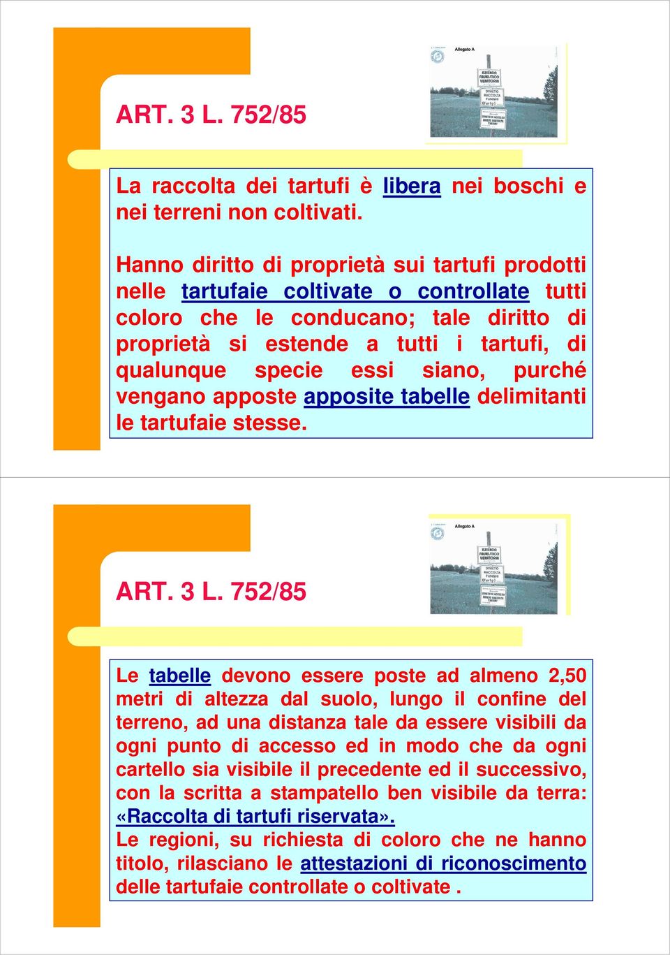 siano, purché vengano apposte apposite tabelle delimitanti le tartufaie stesse. ART. 3 L.