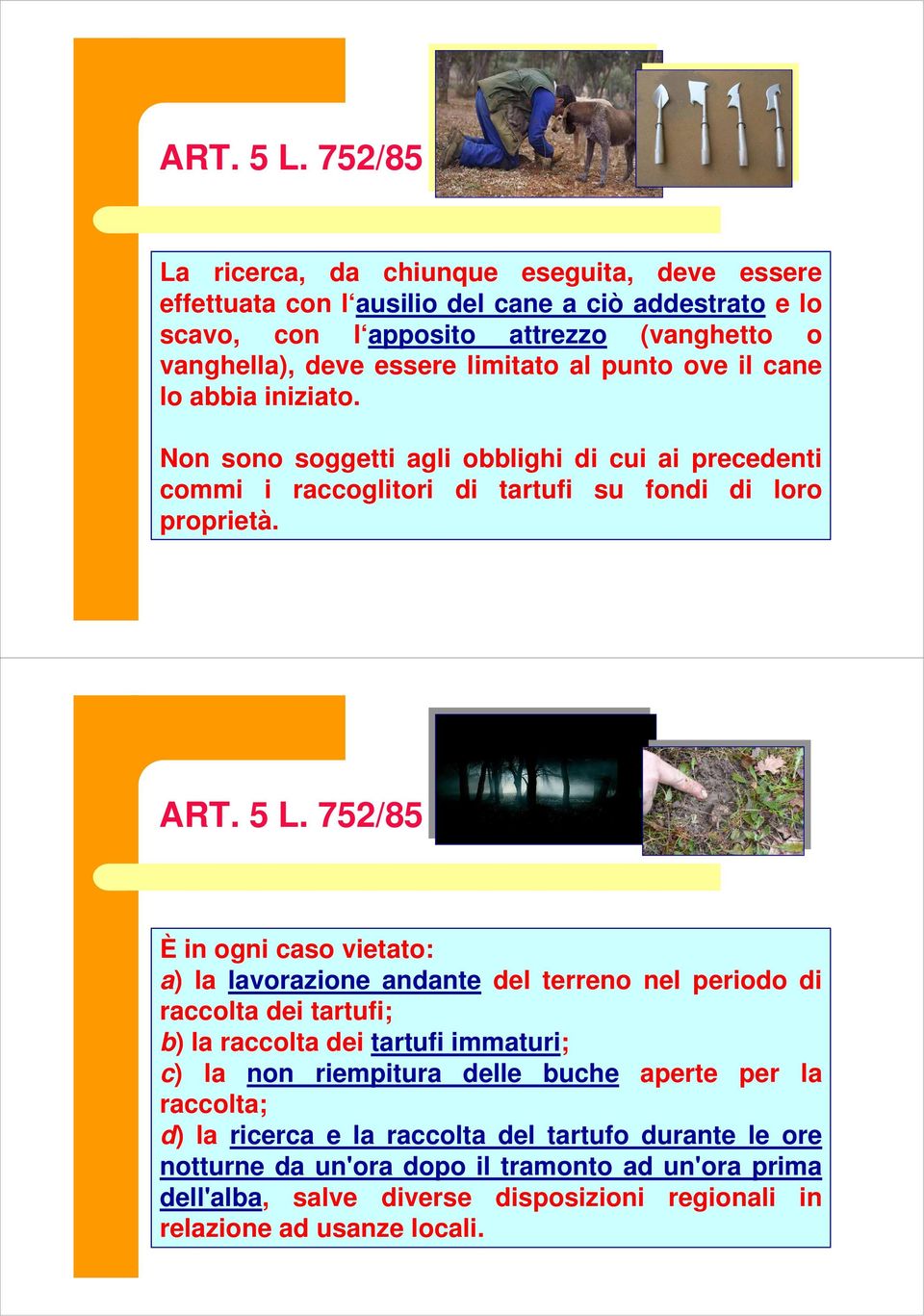 al punto ove il cane lo abbia iniziato. Non sono soggetti agli obblighi di cui ai precedenti commi i raccoglitori di tartufi su fondi di loro proprietà.