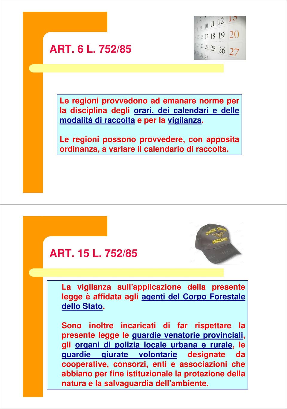 752/85 La vigilanza sull'applicazione della presente legge è affidata agli agenti del Corpo Forestale dello Stato.