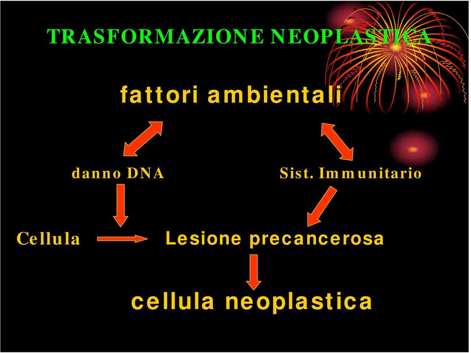 Sist. Immunitario Cellula