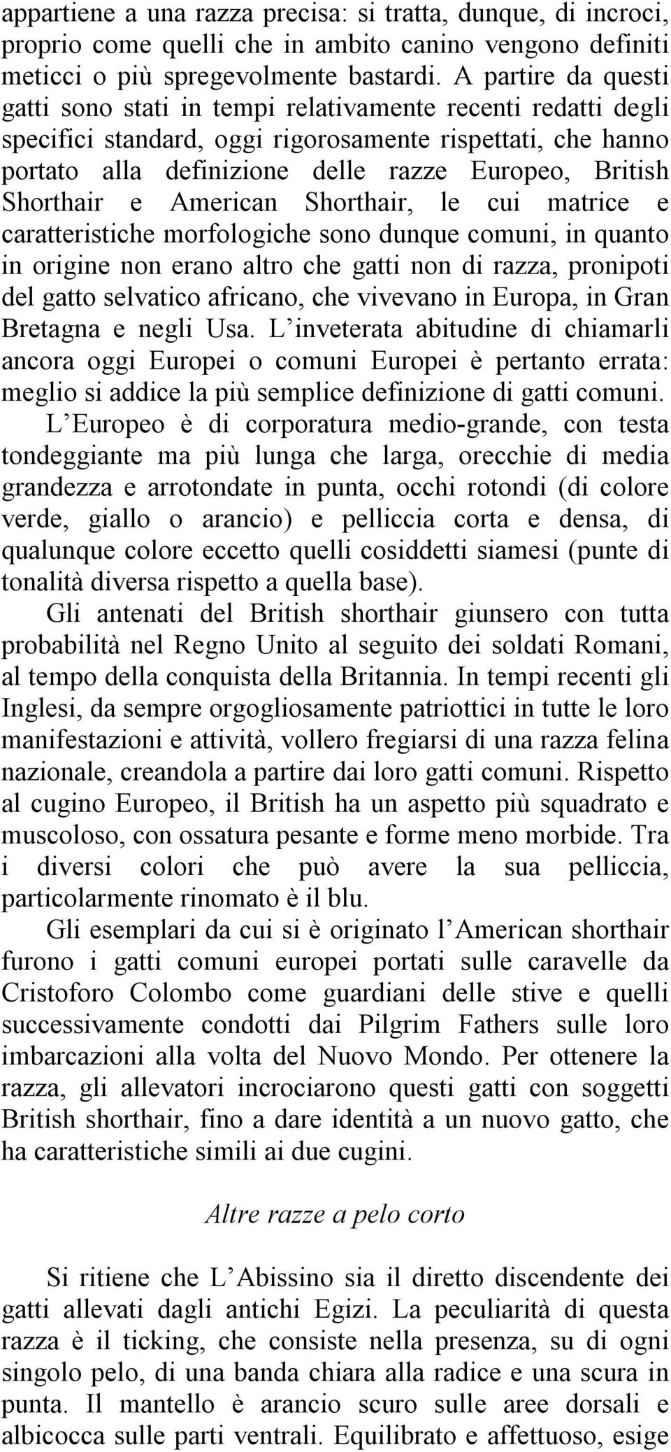 Shorthair e American Shorthair, le cui matrice e caratteristiche morfologiche sono dunque comuni, in quanto in origine non erano altro che gatti non di razza, pronipoti del gatto selvatico africano,