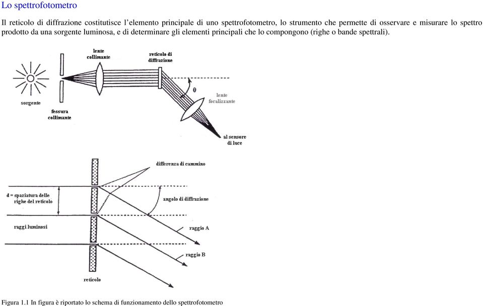 una sorgente luminosa, e di determinare gli elementi principali che lo compongono (righe o