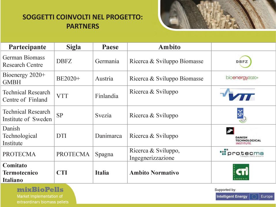 Austria Ricerca & Sviluppo Biomasse VTT Finlandia Ricerca & Sviluppo SP Svezia Ricerca & Sviluppo DTI Danimarca Ricerca &