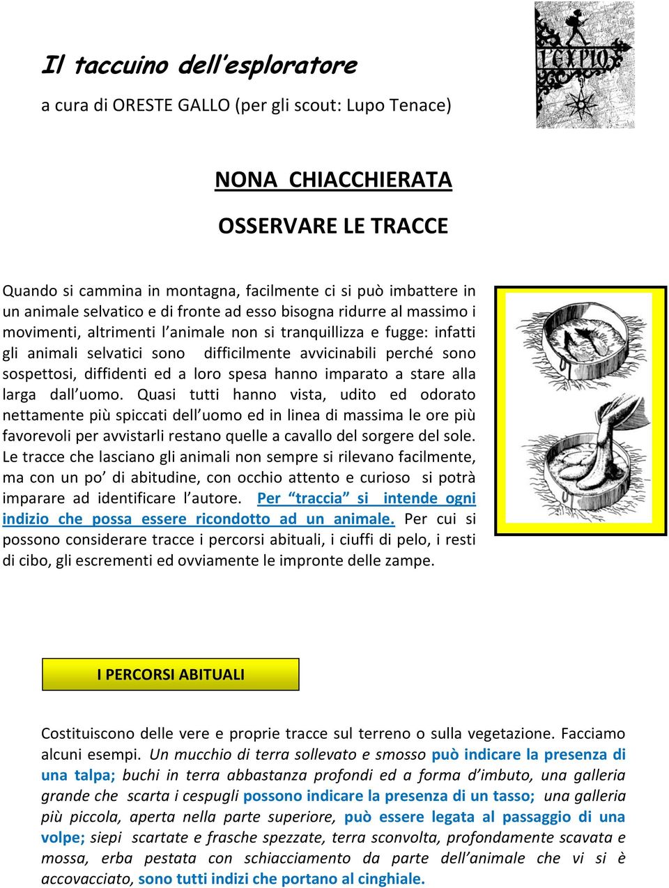 sospettosi, diffidenti ed a loro spesa hanno imparato a stare alla larga dall uomo.