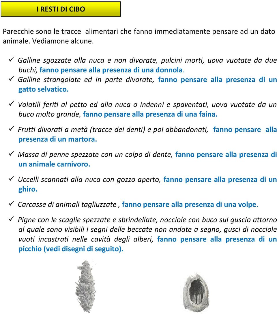 Galline strangolate ed in parte divorate, fanno pensare alla presenza di un gatto selvatico.