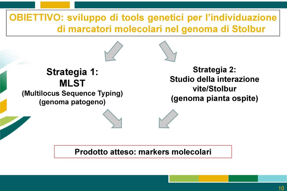 (Multilocus Sequence Typing) (genoma patogeno) Strategia 2: Studio