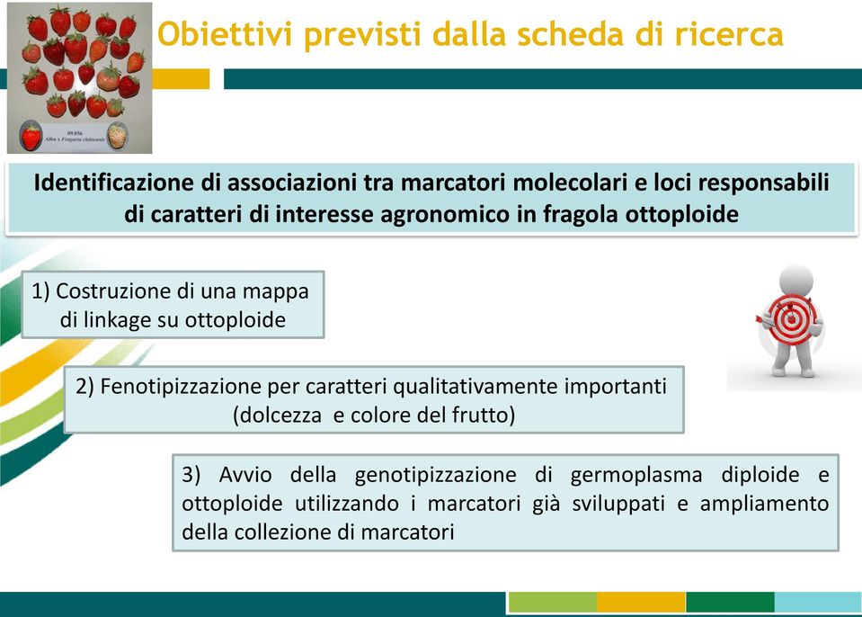 ottoploide 2) Fenotipizzazione per caratteri qualitativamente importanti (dolcezza e colore del frutto) 3) Avvio della