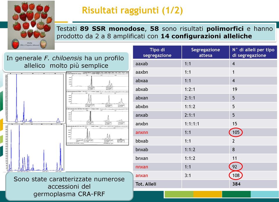 x ananassa Sono state caratterizzate numerose accessioni del germoplasma CRA-FRF Tipo di segregazione Segregazione attesa aaxab 1:1 4 aaxbn 1:1 1