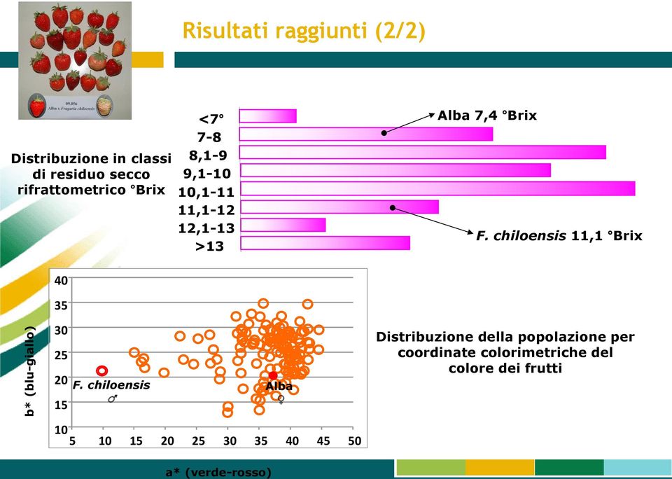 chiloensis 11,1 Brix >13 40 35 30 25 20 15 F.