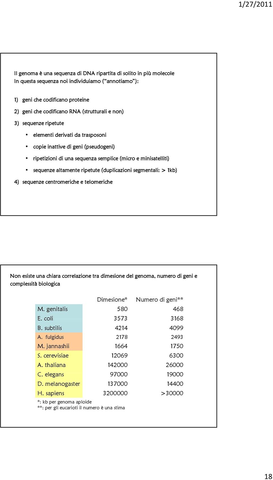 > 1kb) 4) sequenze centromeriche e telomeriche Non esiste una chiara correlazione tra dimesione del genoma, numero di geni e complessità biologica Dimesione* Numero di geni** M. genitalis 580 468 E.