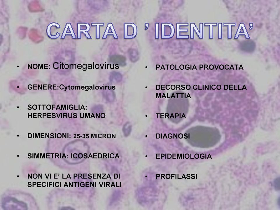 TERAPIA DIMENSIONI: 25-35 MICRON DIAGNOSI SIMMETRIA: ICOSAEDRICA