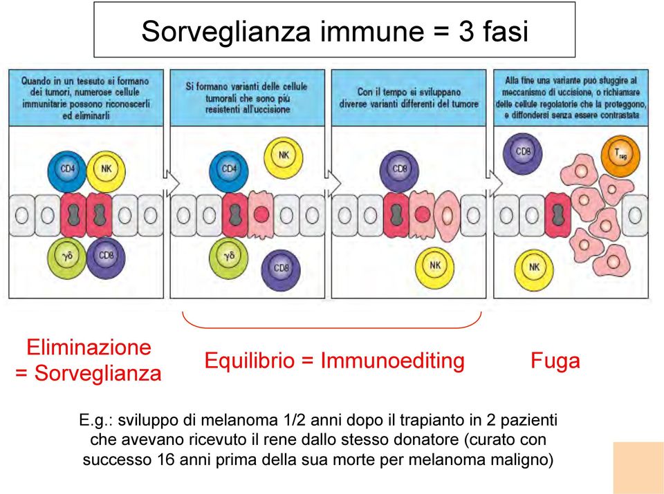 Fuga E.g.: sviluppo di melanoma 1/2 anni dopo il trapianto in 2