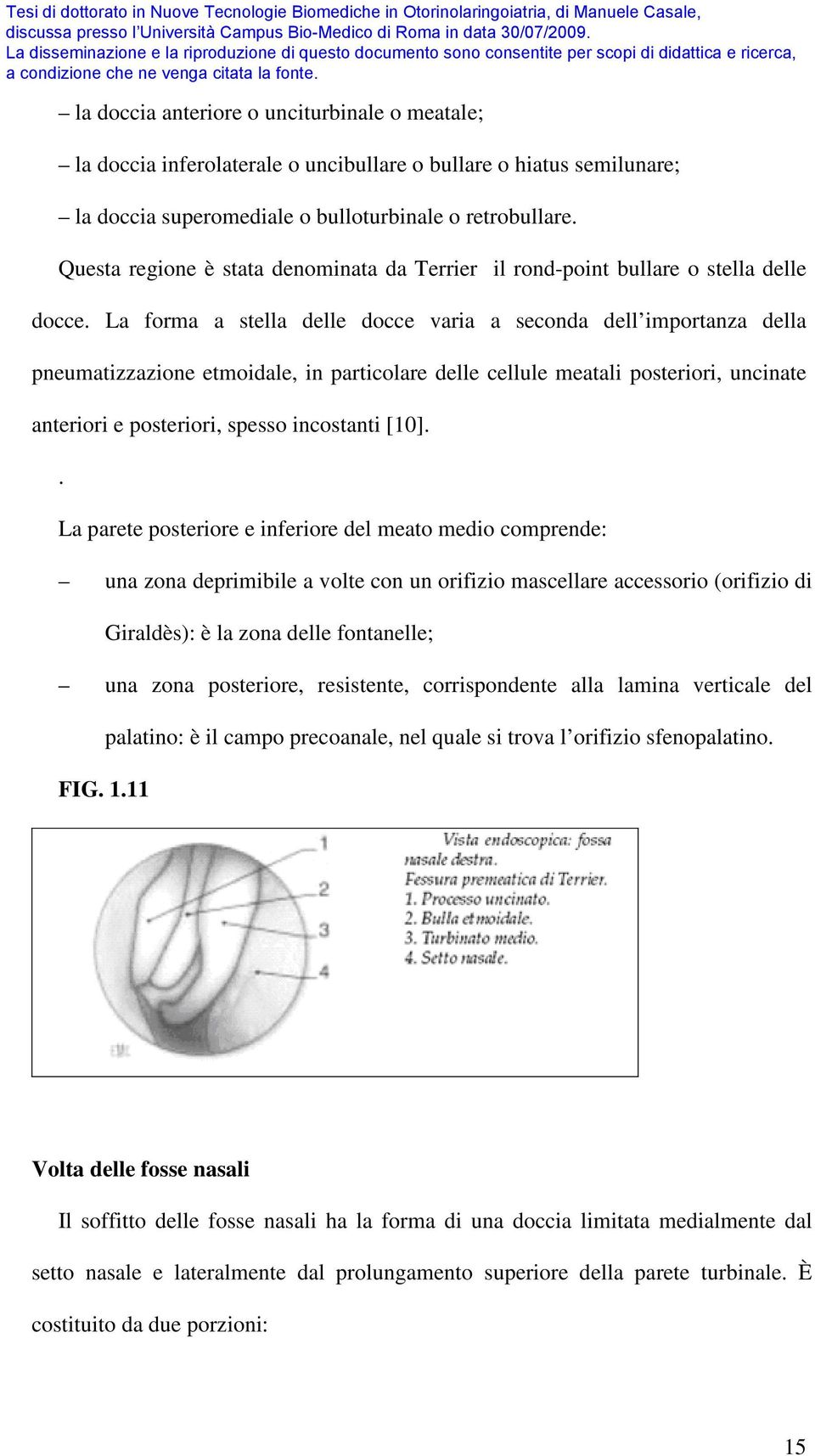 La forma a stella delle docce varia a seconda dell importanza della pneumatizzazione etmoidale, in particolare delle cellule meatali posteriori, uncinate anteriori e posteriori, spesso incostanti