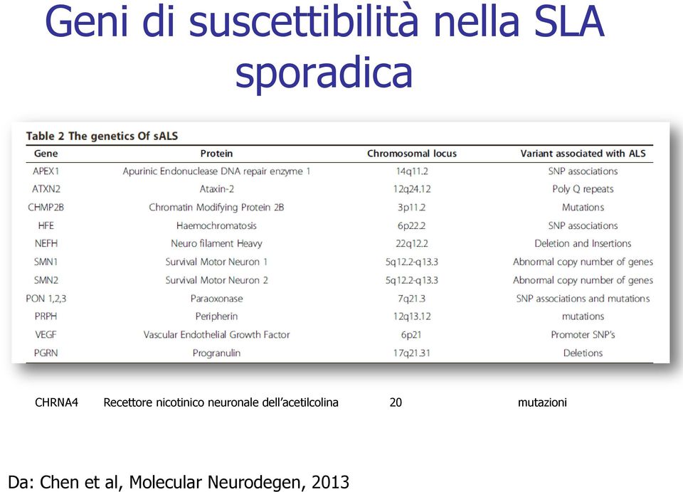 neuronale dell acetilcolina 20