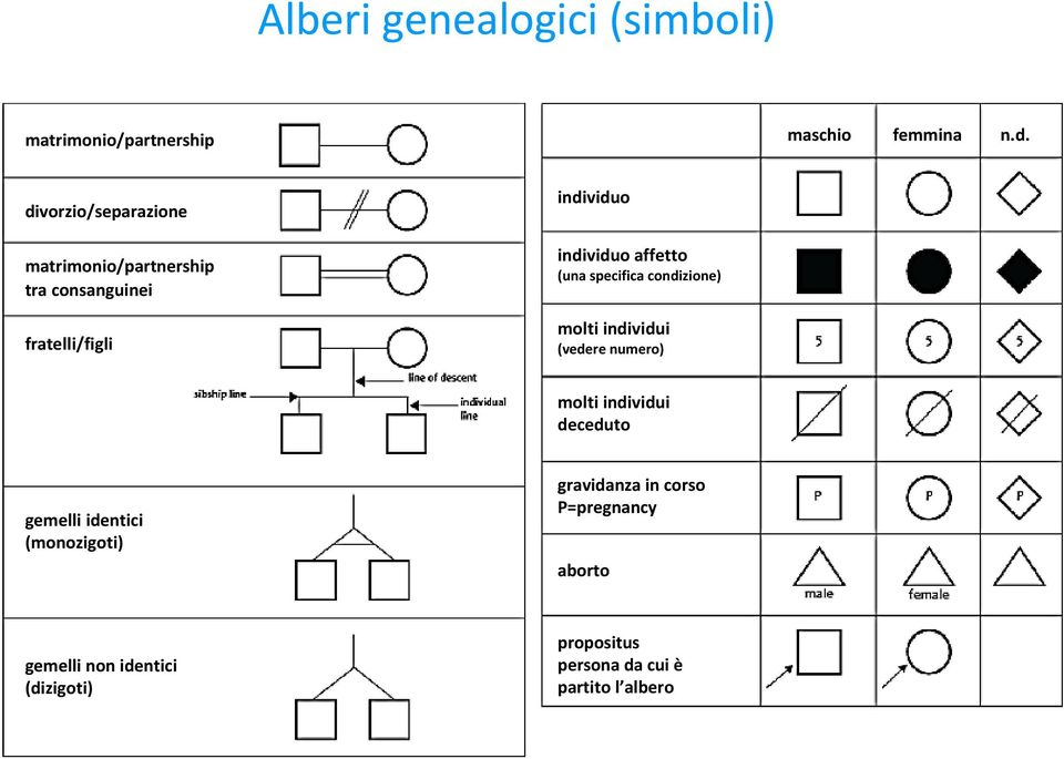 affetto (una specifica condizione) molti individui (vedere numero) molti individui deceduto gemelli