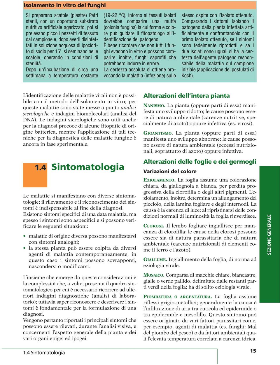 Dopo un incubazione di circa una settimana a temperatura costante (19-22 C), intorno ai tessuti isolati dovrebbe comparire una muffa (colonia fungina) la cui forma e colore può guidare il