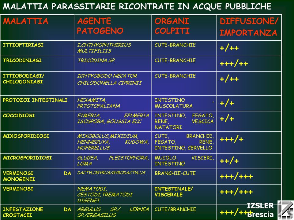 EIMERIA, EPIMERIA ISOSPORA, GOUSSIA ECC MIXOSPORIDIOSI MIXOBOLUS,MIXIDIUM, HENNEGUYA, KUDOWA, HOFERELLUS MICROSPORIDIOSI GLUGEA, PLEISTOPHORA, LOMA VERMINOSI MONOGENEI VERMINOSI INFESTAZIONE