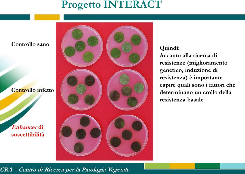 importante capire quali sono i fattori che determinano un crollo della