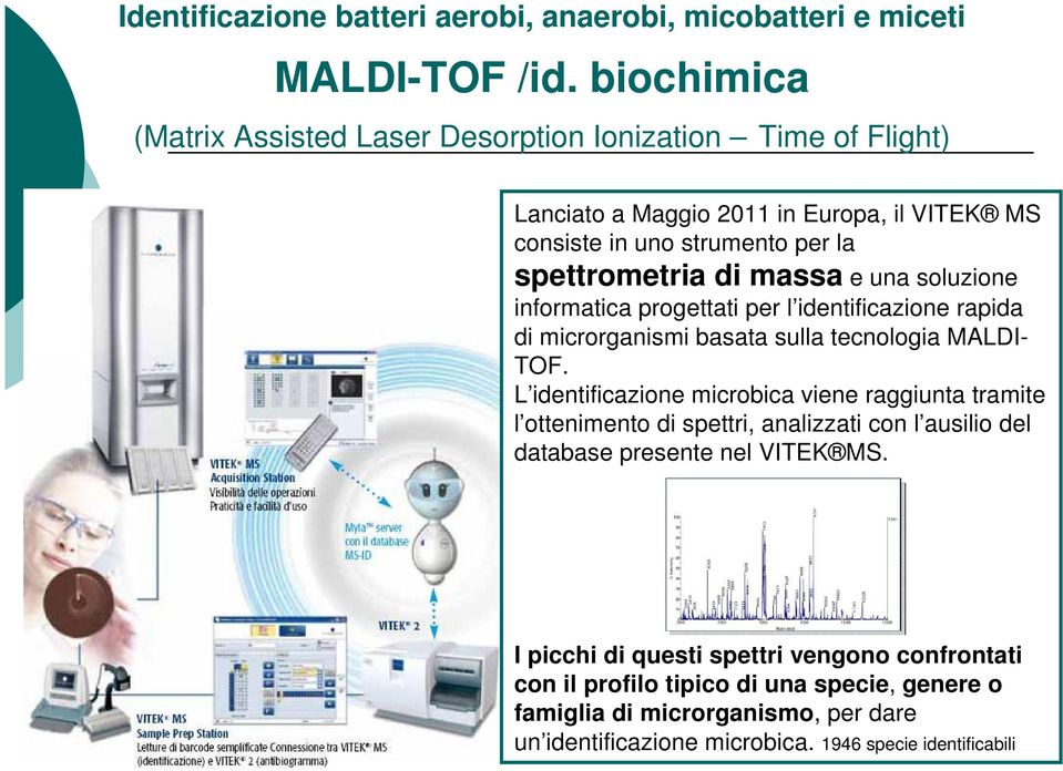 e una soluzione informatica progettati per l identificazione rapida di microrganismi basata sulla tecnologia MALDI- TOF.