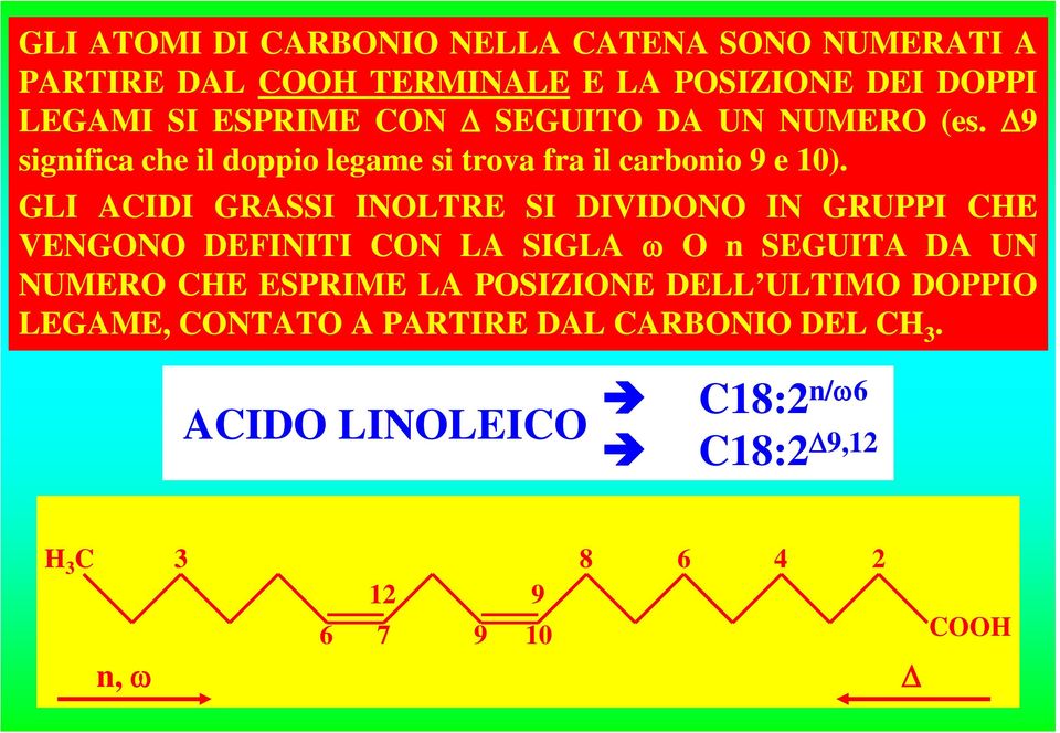 GLI ACIDI GRASSI INOLTRE SI DIVIDONO IN GRUPPI CHE VENGONO DEFINITI CON LA SIGLA O n SEGUITA DA UN NUMERO CHE ESPRIME LA