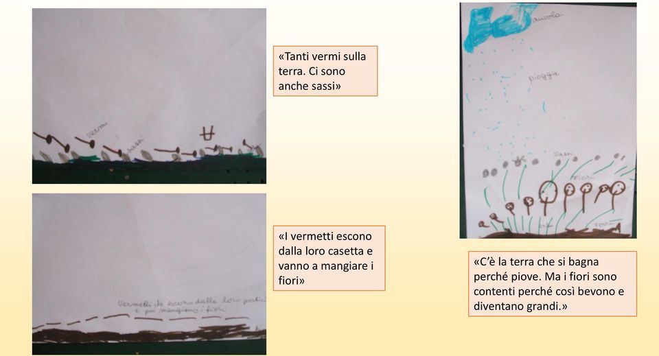 casetta e vanno a mangiare i fiori» «C è la terra che