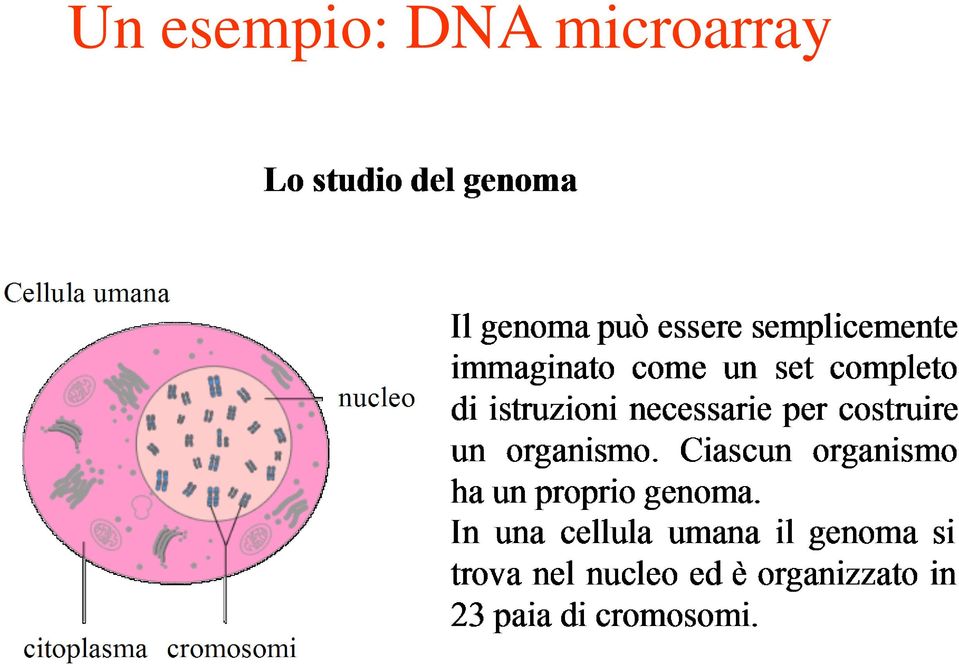 DNA