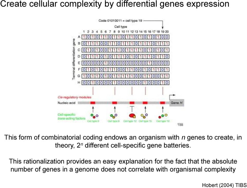 gene batteries.