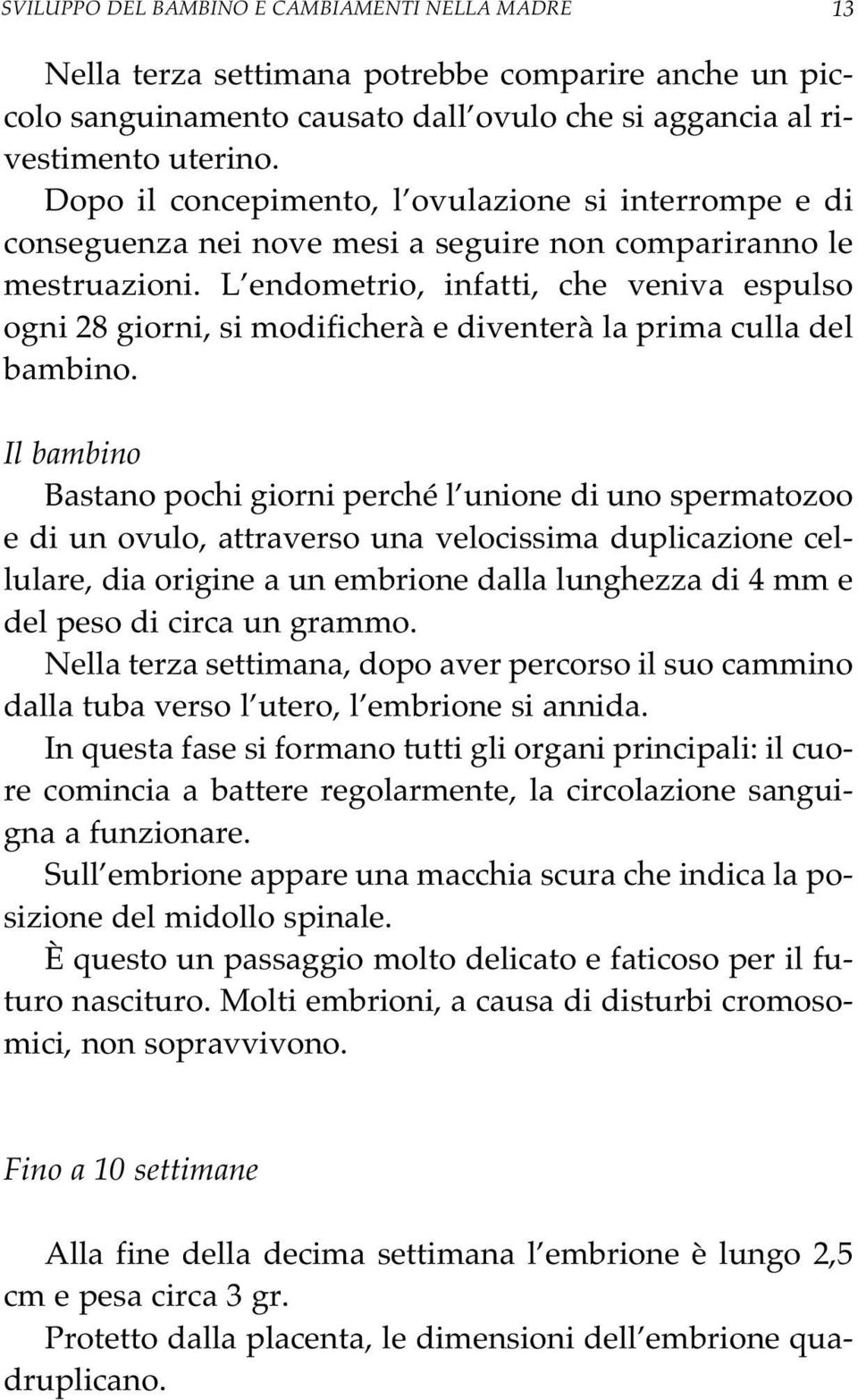 L endometrio, infatti, che veniva espulso ogni 28 giorni, si modificherà e diventerà la prima culla del bambino.