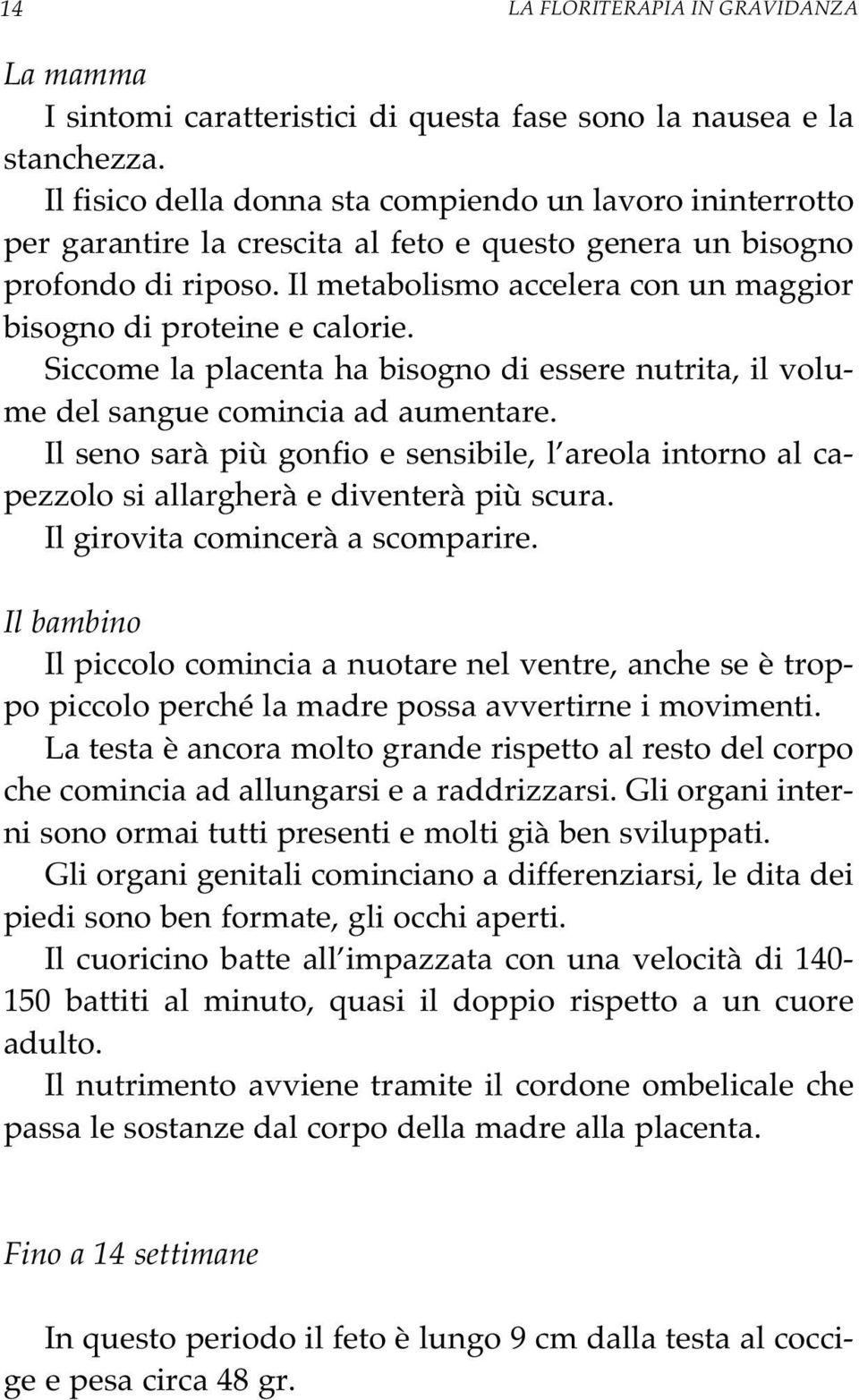 Il metabolismo accelera con un maggior bisogno di proteine e calorie. Siccome la placenta ha bisogno di essere nutrita, il volume del sangue comincia ad aumentare.