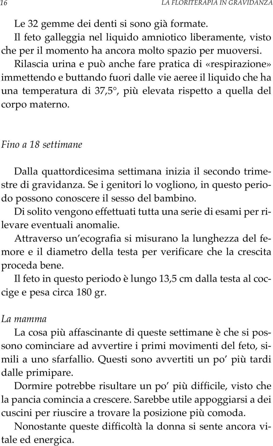 Fino a 18 settimane Dalla quattordicesima settimana inizia il secondo trimestre di gravidanza. Se i genitori lo vogliono, in questo periodo possono conoscere il sesso del bambino.