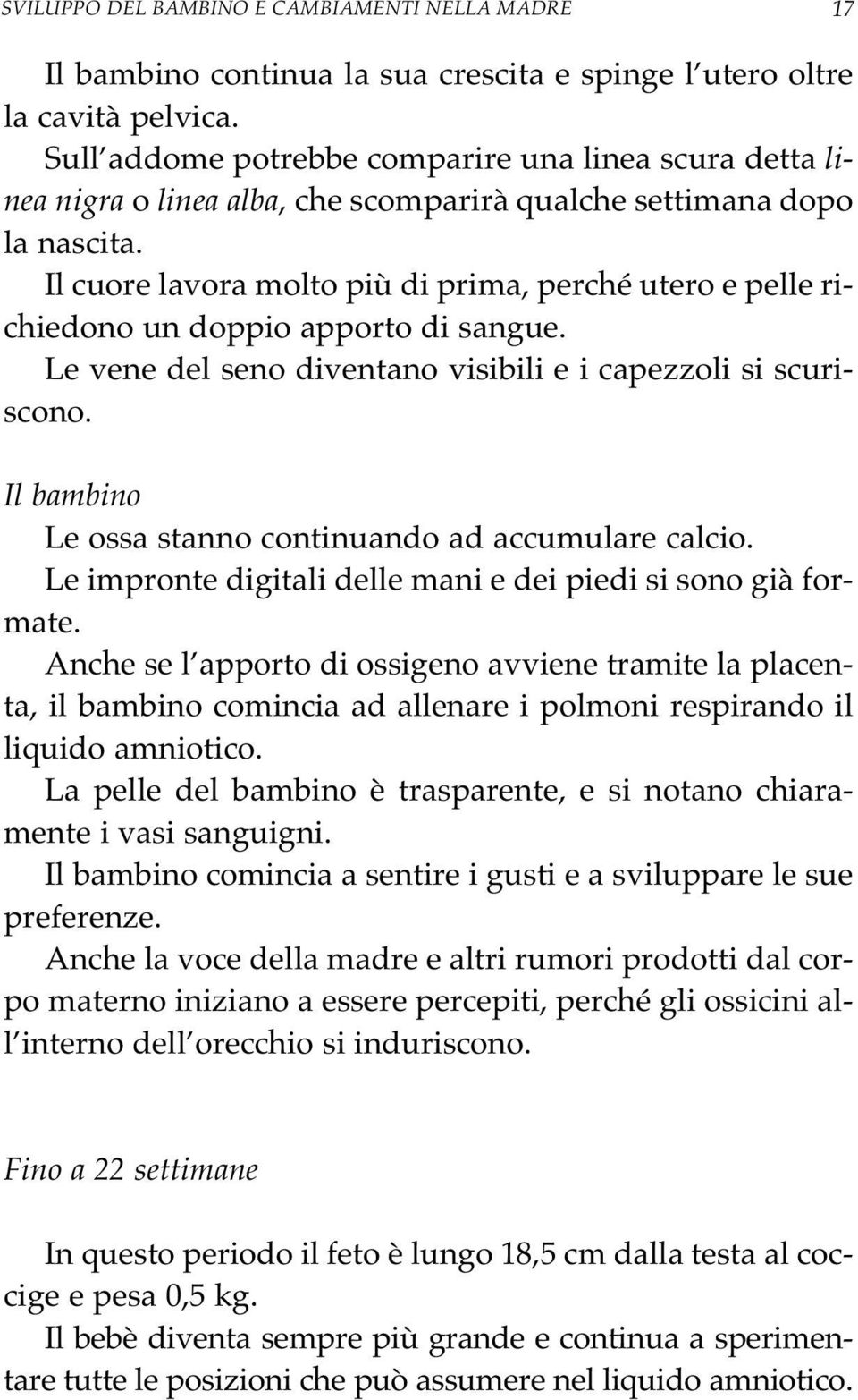 Il cuore lavora molto più di prima, perché utero e pelle richiedono un doppio apporto di sangue. Le vene del seno diventano visibili e i capezzoli si scuriscono.