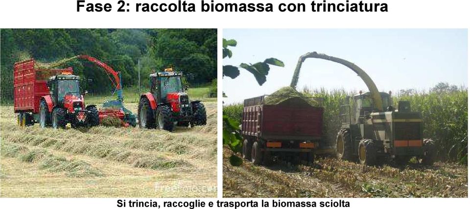 trinciatura Si trincia,