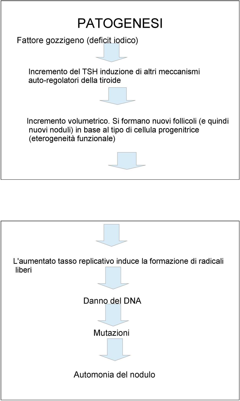 Si formano nuovi follicoli (e quindi nuovi noduli) in base al tipo di cellula progenitrice